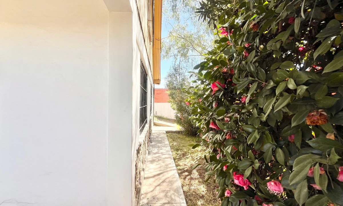 Sin título (1200 x 720 px)_20251111_104312_0007