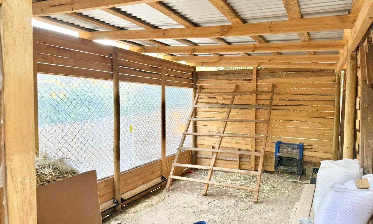 25_20251213_130044_0024