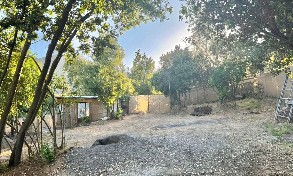 26_20251213_130044_0025