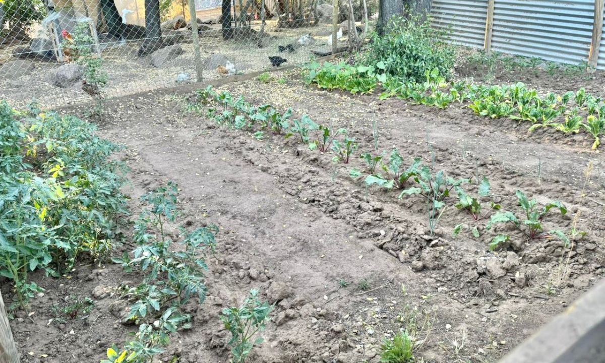 27_20251213_130045_0026