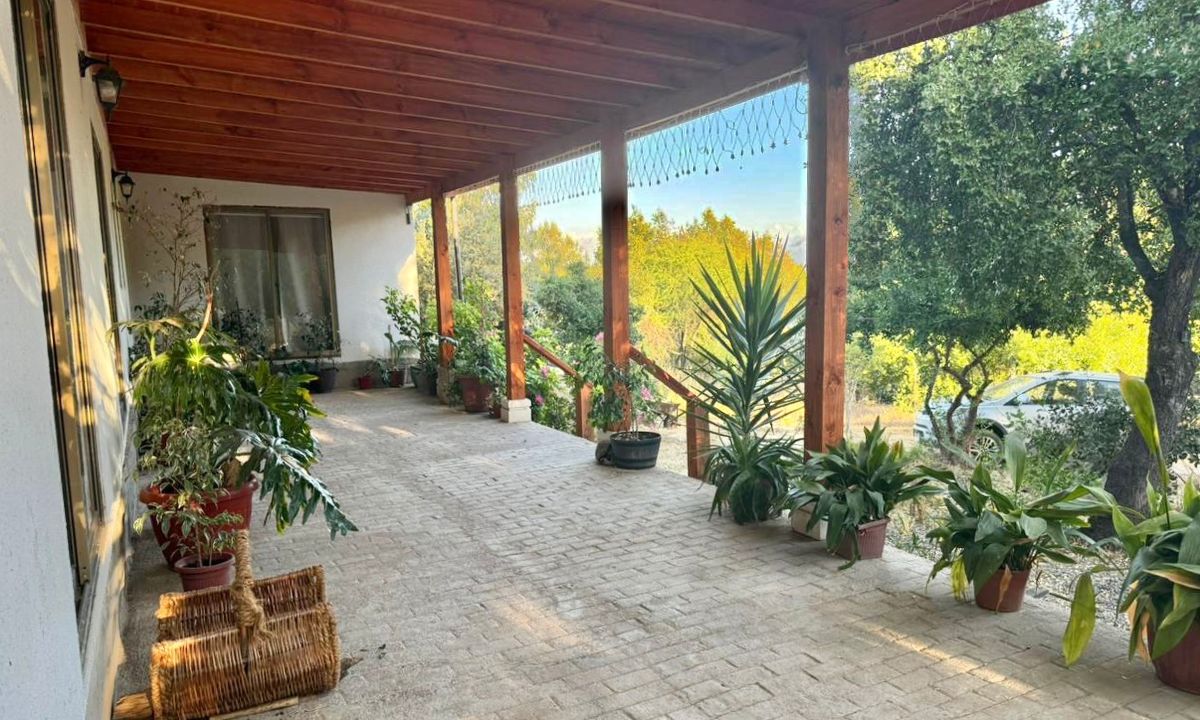 2_20251213_130042_0001