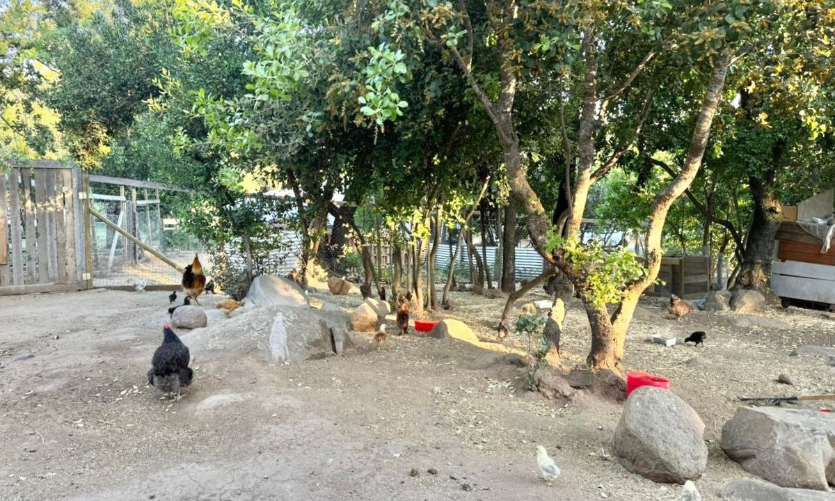 31_20251213_130045_0030