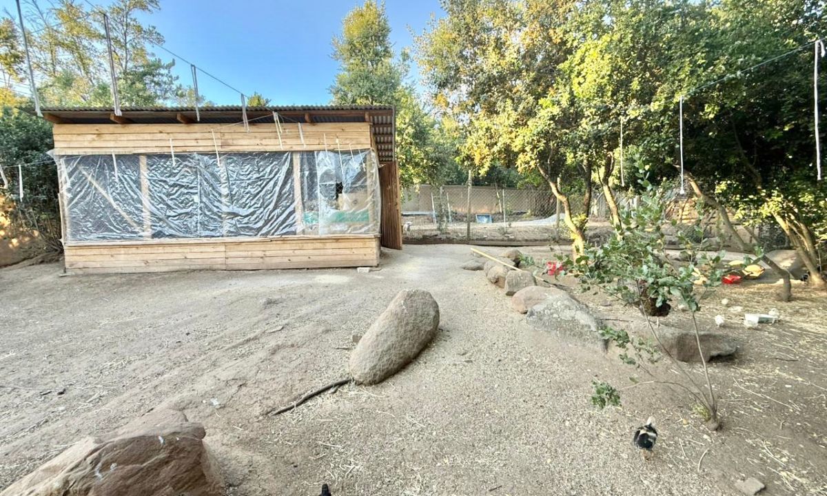 33_20251213_130045_0032